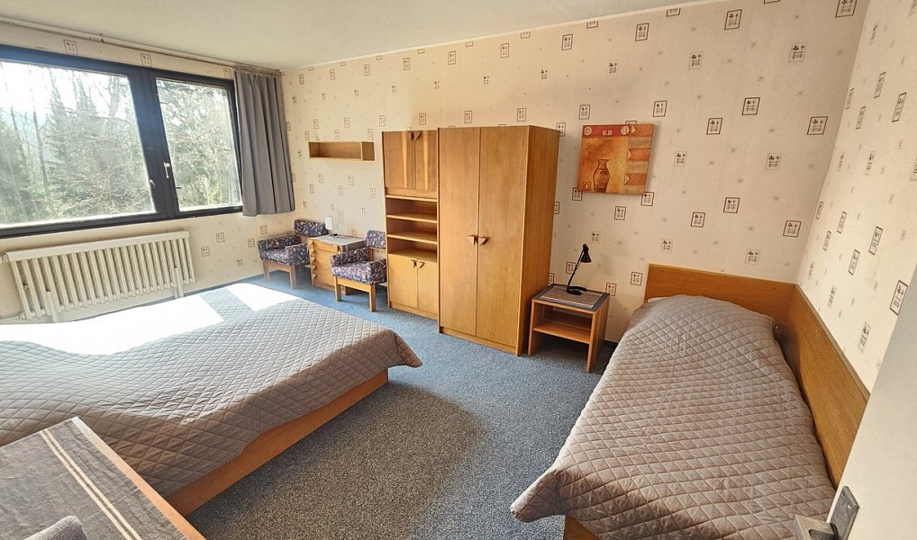 Prodej domu 1 047 m² s pozemkem 12 508 m², Janov nad Nisou – náhled fotky 21