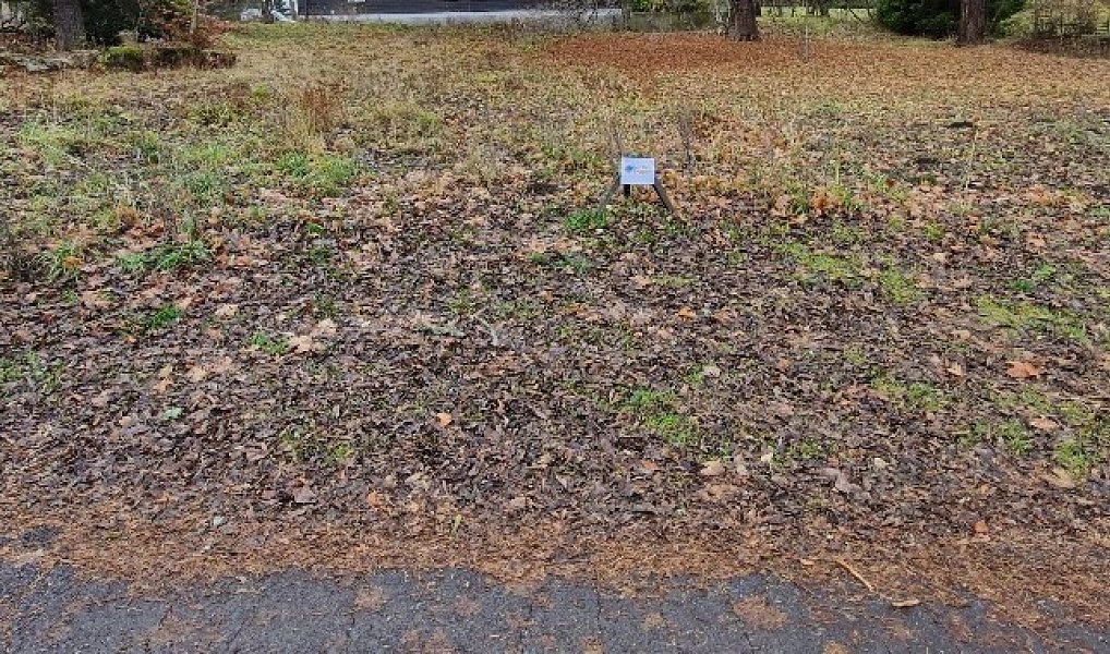 Prodej stavebního pozemku 831 m², Karlova Studánka – náhled fotky 3
