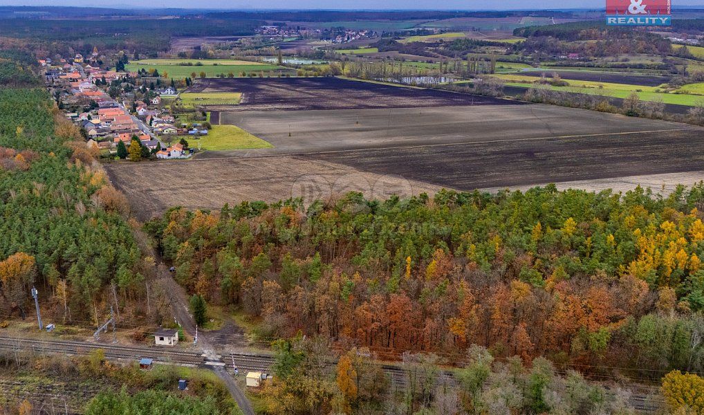 Prodej lesa 6 436 m², Lysá nad Labem – náhled fotky 4