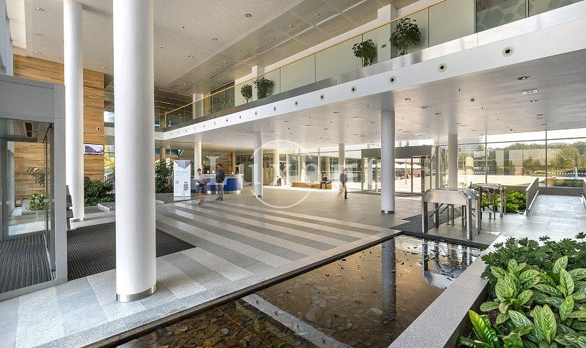 Pronájem obchodních prostor 630 m²