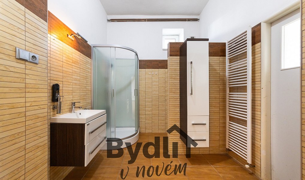 Prodej obchodních prostor 277 m², Vícenice u Náměště nad Oslavou – náhled fotky 10