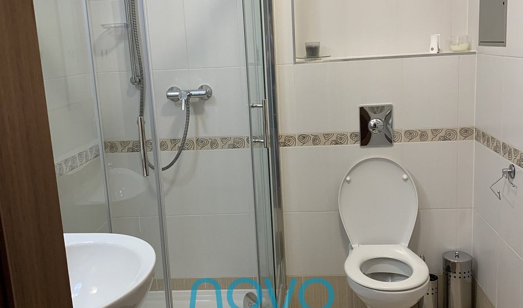 Pronájem bytu 1+kk 33 m², Praha – náhled fotky 4