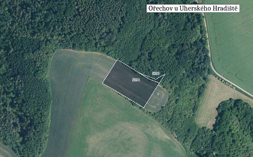 Prodej pole 12 328 m², Ořechov, okres Uherské Hradiště
