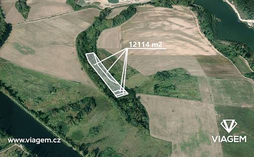 Prodej lesa 1 009 m², Záryby, okres Praha-východ