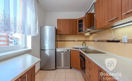 Pronájem bytu 2+1 52 m², U Kasáren, Mladá Boleslav - Mladá Boleslav III