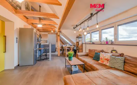 Prodej bytu 3+kk 114 m², Dřevěná, Mariánské Lázně, okres Cheb