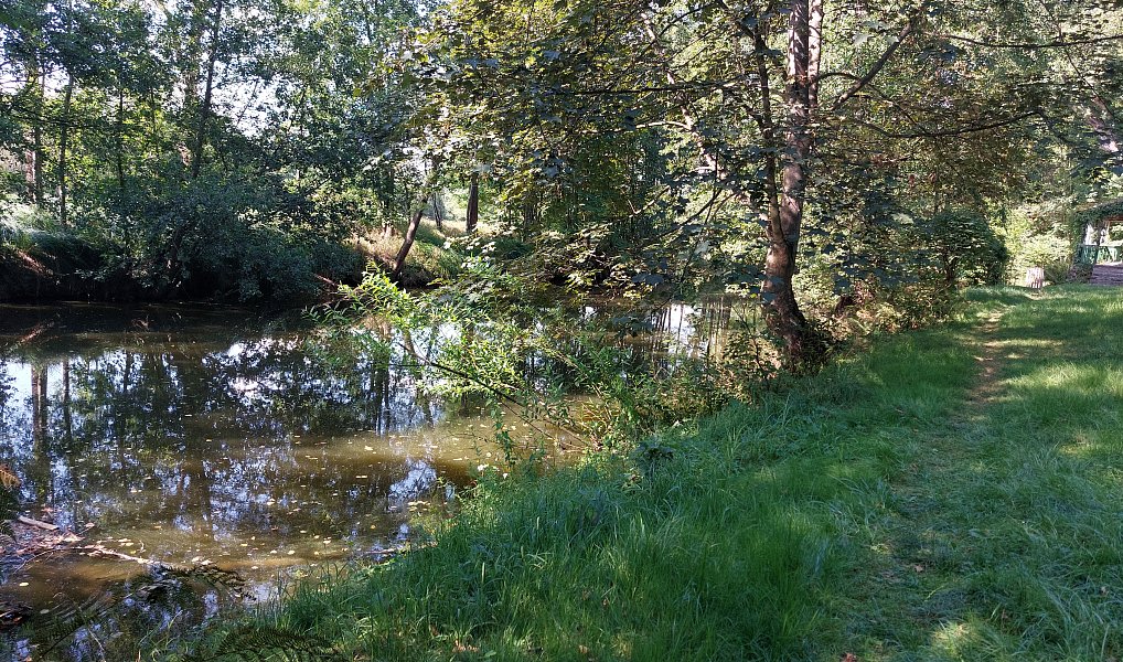 Prodej chaty/chalupy 84 m² s pozemkem 1 392 m², Plzeň – náhled fotky 12