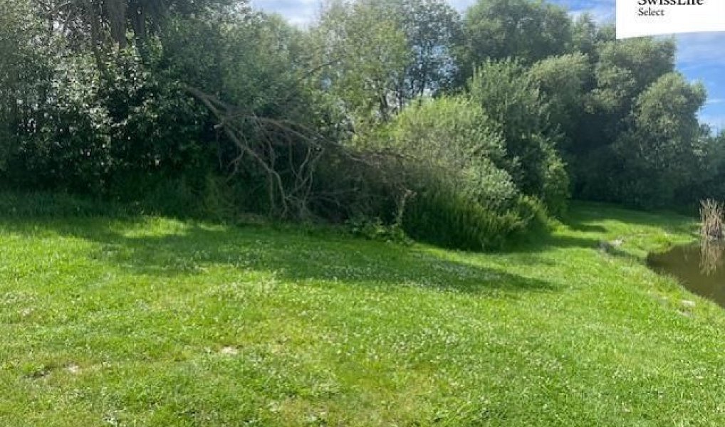 Prodej louky 360 m², Hodice – náhled fotky 3