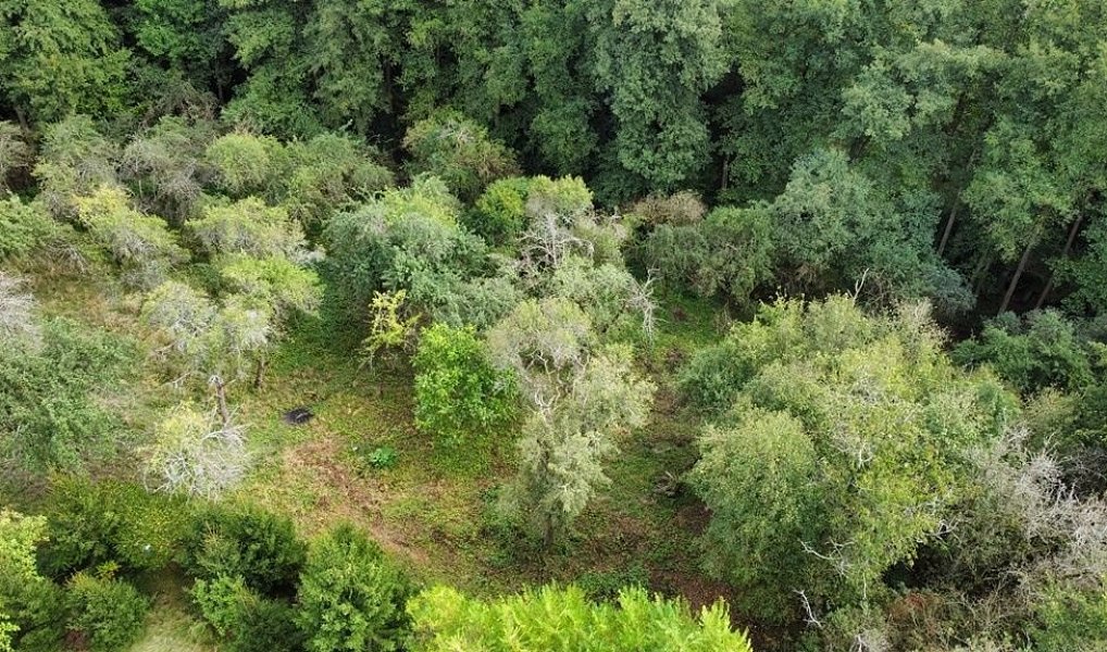 Prodej zahrady 1 984 m², Hýskov – náhled fotky 3
