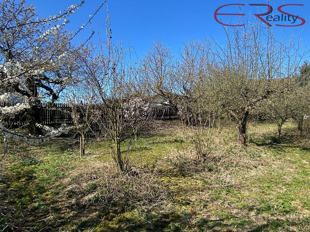 Fotka 25 z 25