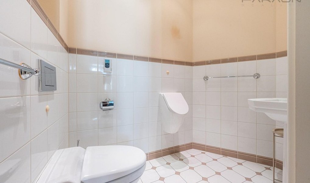 Pronájem bytu 3+1 154 m², Praha – náhled fotky 16
