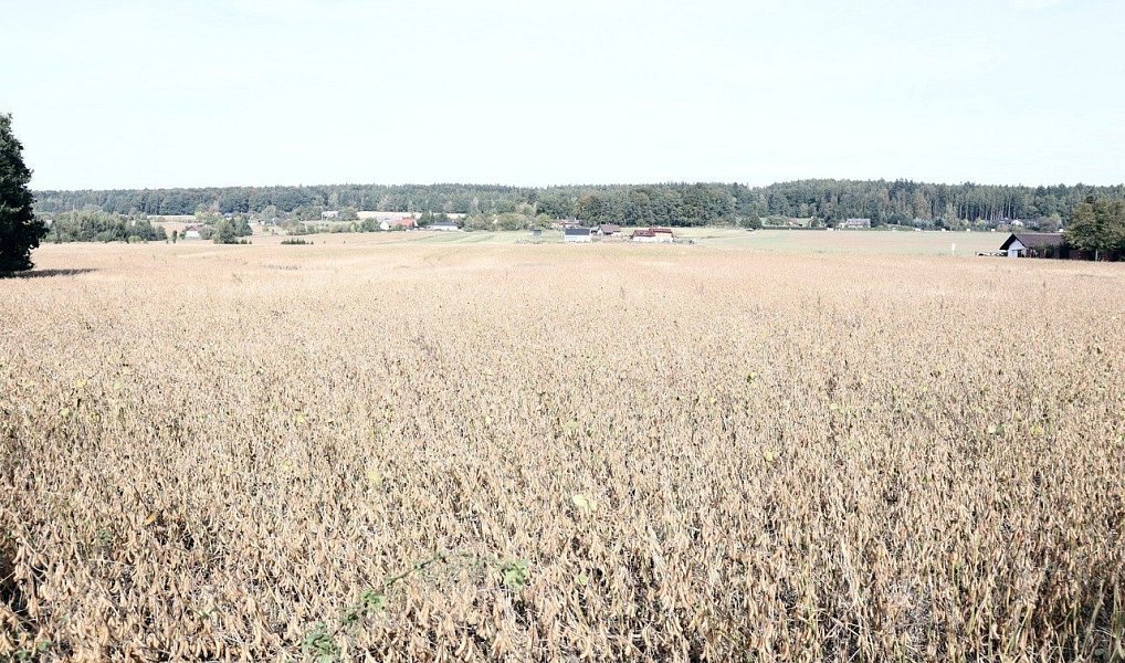 Prodej pole 27 614 m², Dvůr Králové nad Labem – náhled fotky 5