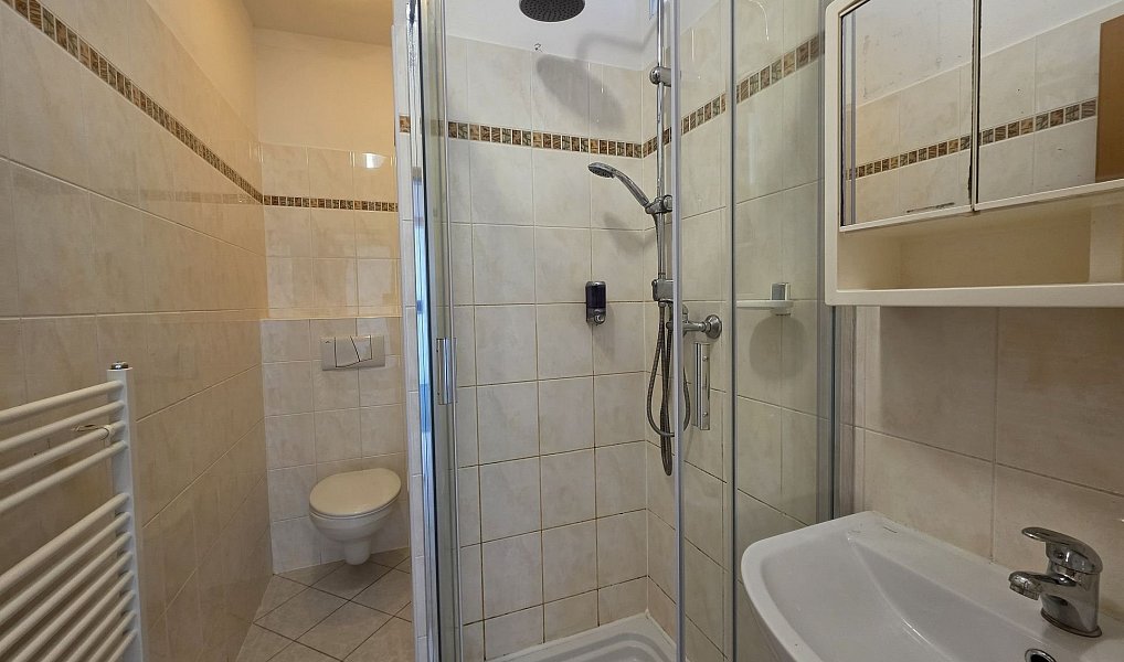 Pronájem bytu 2+kk 42 m², Plzeň – náhled fotky 8