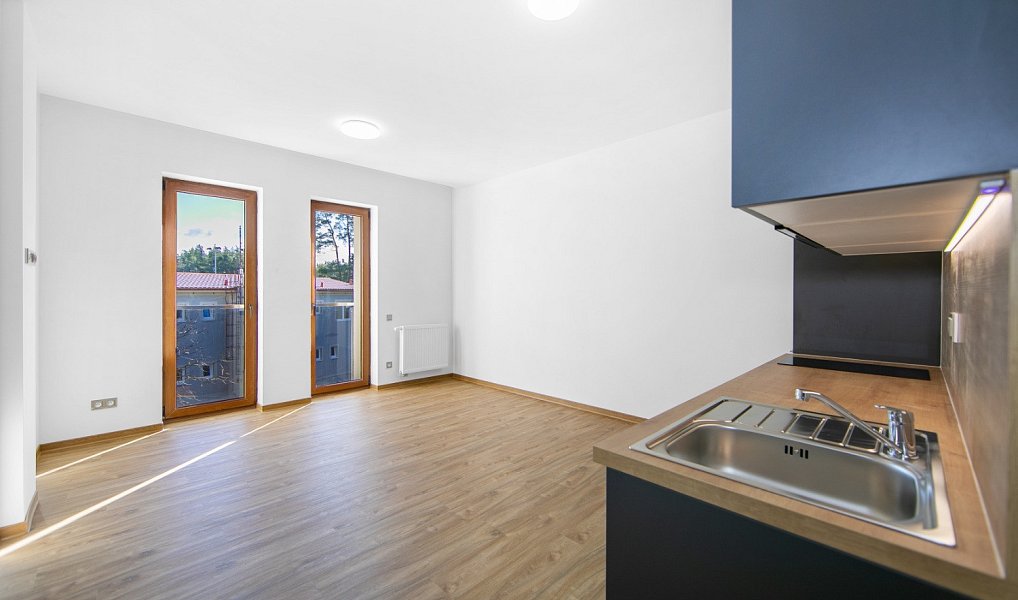 Pronájem bytu 1+kk 29 m², Zruč-Senec – náhled fotky 12