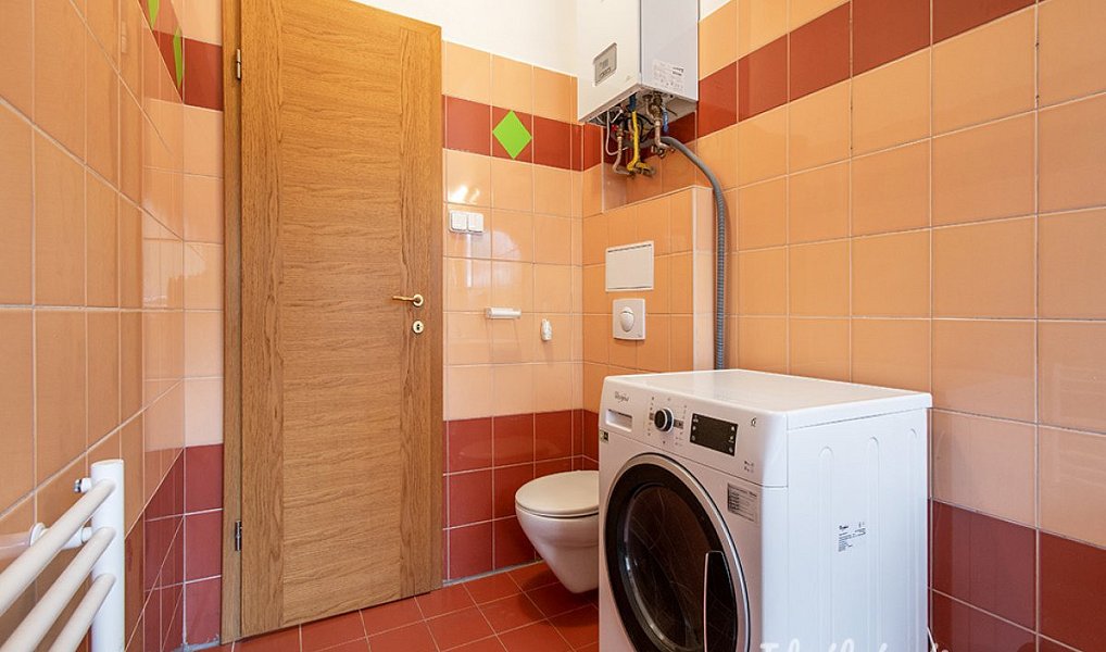 Pronájem bytu 2+kk 53 m², Praha – náhled fotky 10
