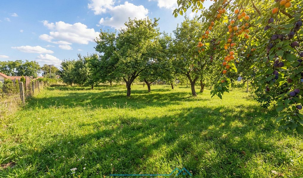 Prodej stavebního pozemku 1 670 m², Pavlov – náhled fotky 5