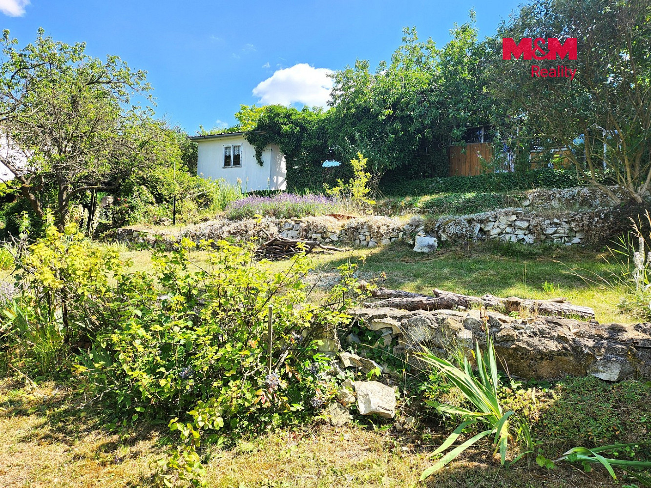 Prodej zahrady 605 m² — photo 4