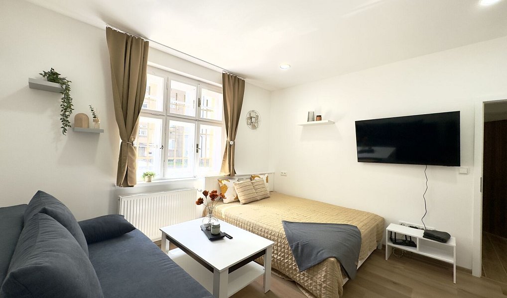 Pronájem bytu 1+kk 28 m², Liberec – náhled fotky 7