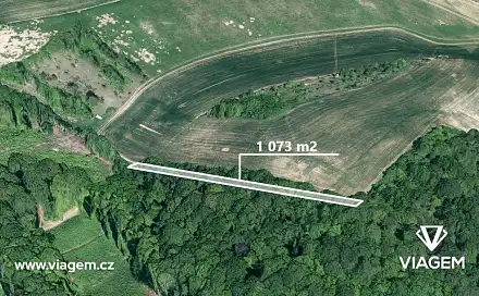 Prodej lesa 1 073 m², Snovídky, okres Vyškov