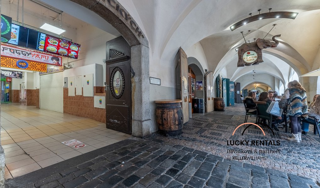 Pronájem bytu 3+1 135 m², Praha – náhled fotky 24