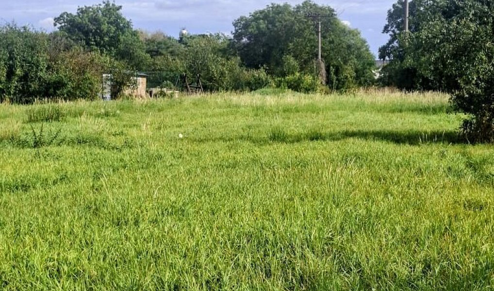 Prodej zemědělského objektu 250 m², Loučany – náhled fotky 10
