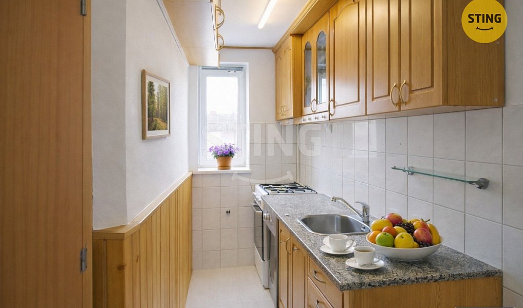 Pronájem bytu 3+kk 62 m², Uherské Hradiště – náhled fotky 6