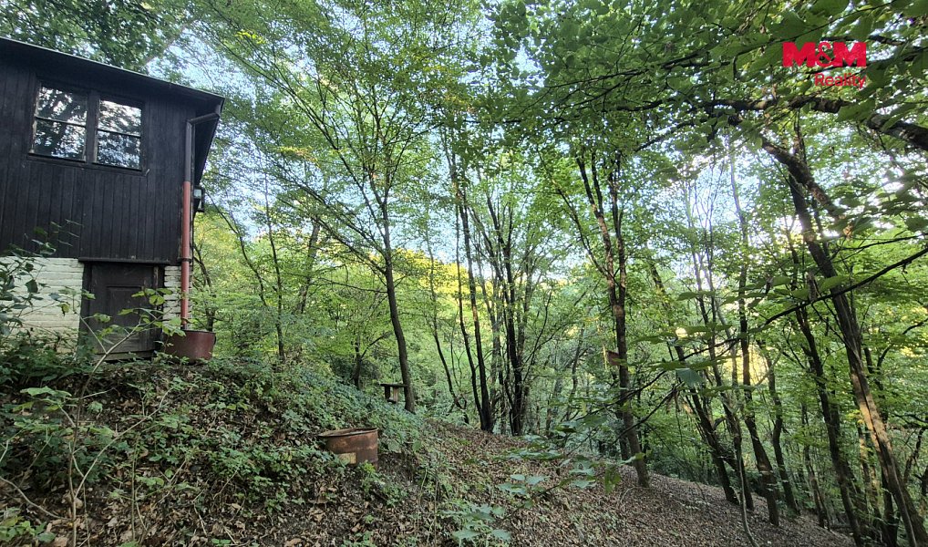 Prodej chaty/chalupy 33 m² s pozemkem 33 m², Zbečno – náhled fotky 24