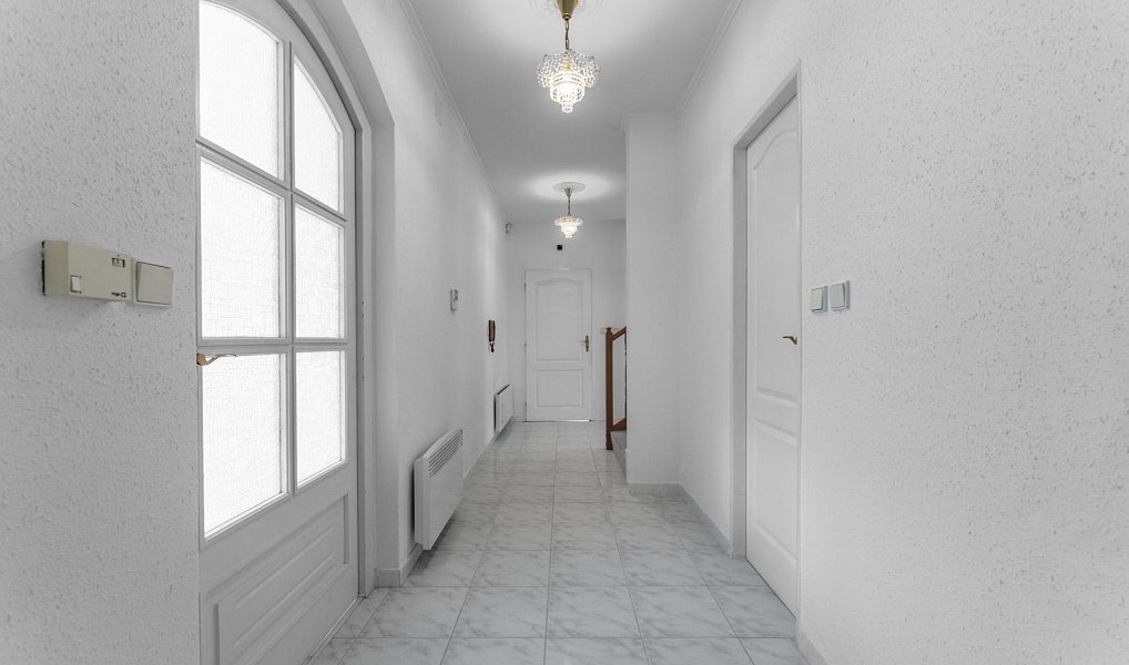 Prodej domu 289 m² s pozemkem 3 375 m², Družec – náhled fotky 37
