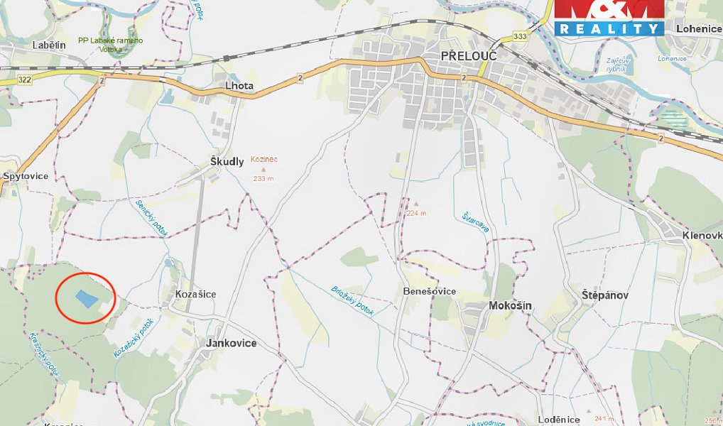 Prodej lesa 24 923 m², Jankovice – náhled fotky 3