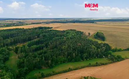Prodej lesa 5 988 m², Břežany, okres Rakovník