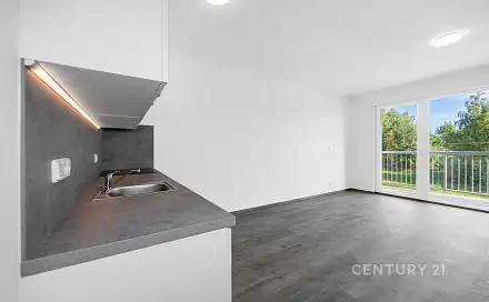 Prodej bytu 2+kk 60 m², Loudů, Dobřany, okres Plzeň-Jih