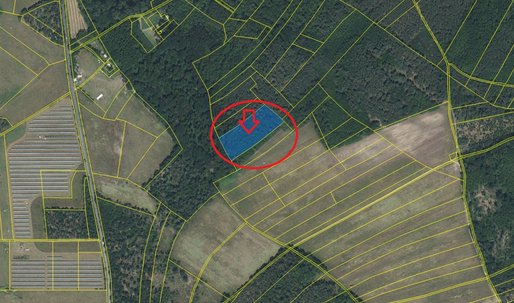 Prodej lesa 892 m², Chodouny – náhled fotky 19