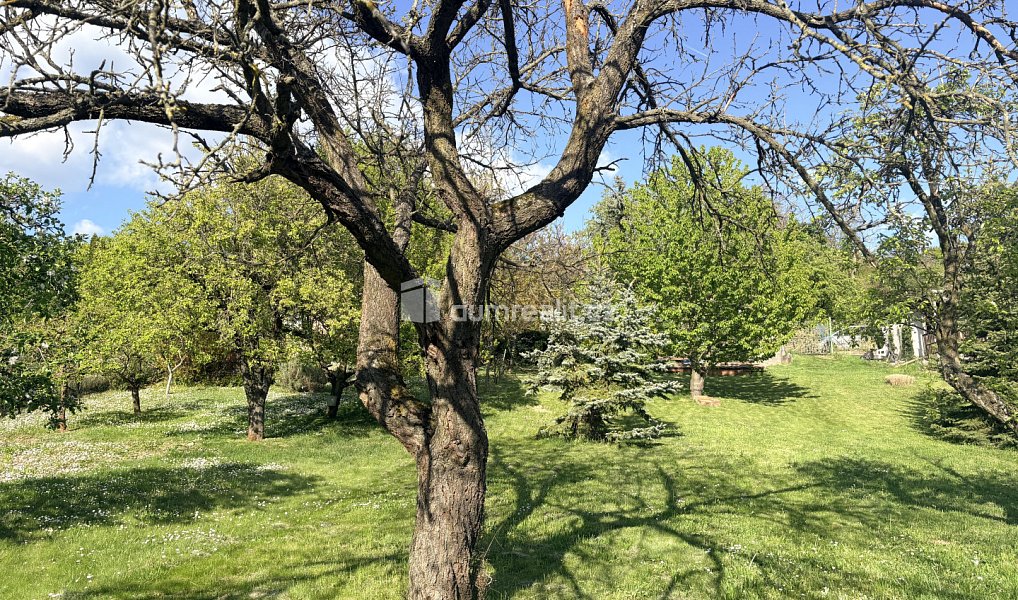 Prodej zahrady 888 m², Mikulov – náhled fotky 3