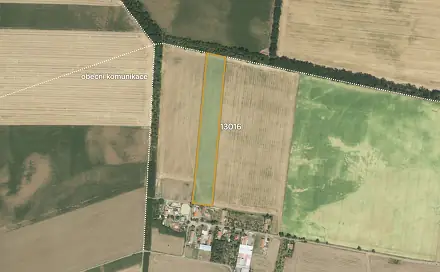 Prodej pole 32 051 m², Hrušovany nad Jevišovkou, okres Znojmo