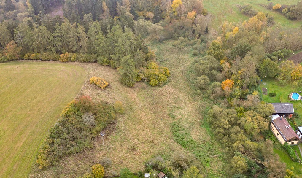 Prodej pozemku 15 970 m², Planá – náhled fotky 29