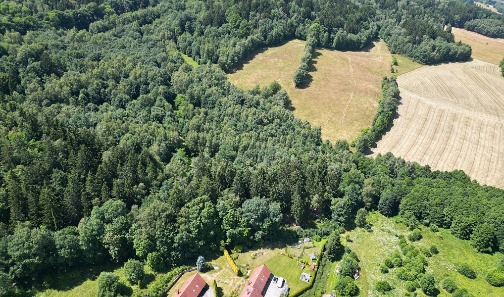 Prodej lesa 4 606 m², Šimonovice – náhled fotky 2