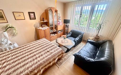 Prodej bytu 1+1 35 m², Gagarinova, Sokolov