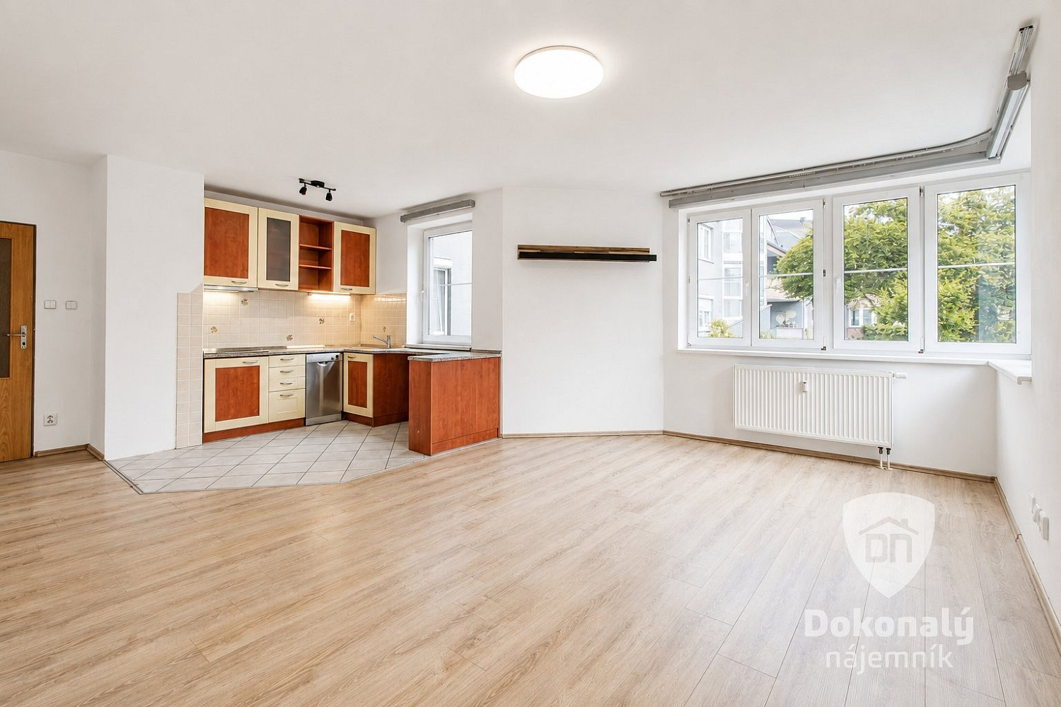 Pronájem bytu 1+kk 50 m² - Widok 4