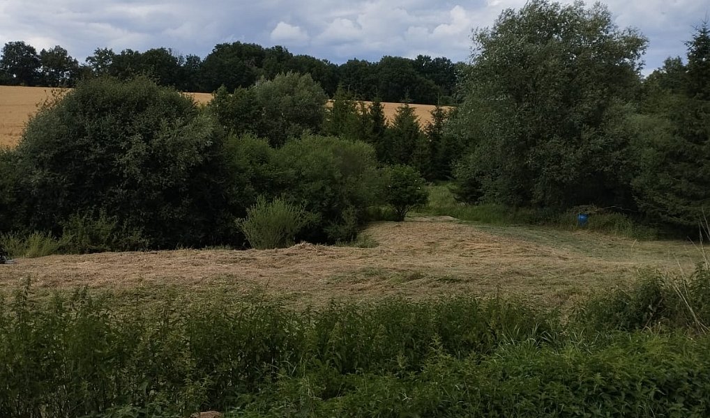 Pronájem louky 3 000 m², Líšťany – náhled fotky 5