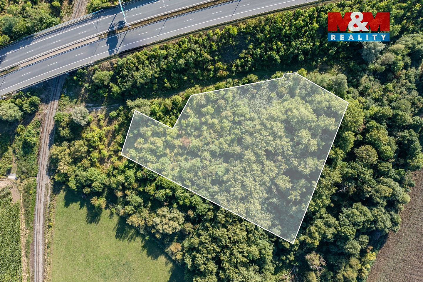 Prodej lesa 8 994 m² — photo 4