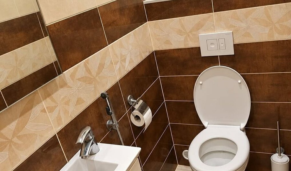 Pronájem bytu 2+kk 50 m², Rožnov pod Radhoštěm – náhled fotky 8