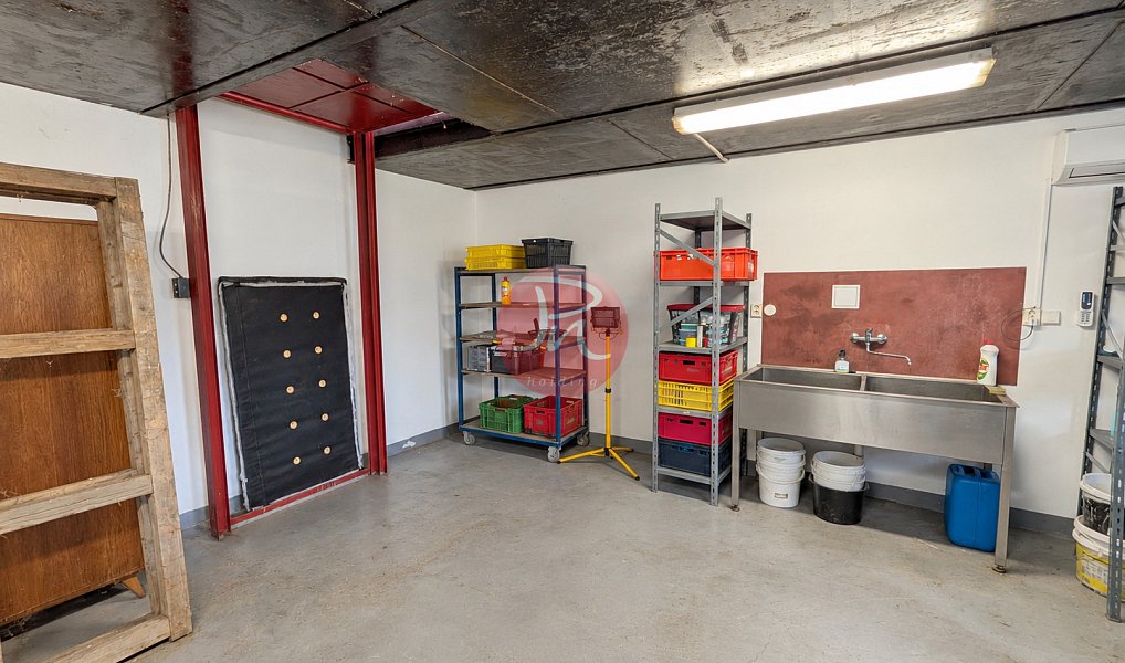 Prodej domu 340 m² s pozemkem 1 272 m², Hranice – náhled fotky 18