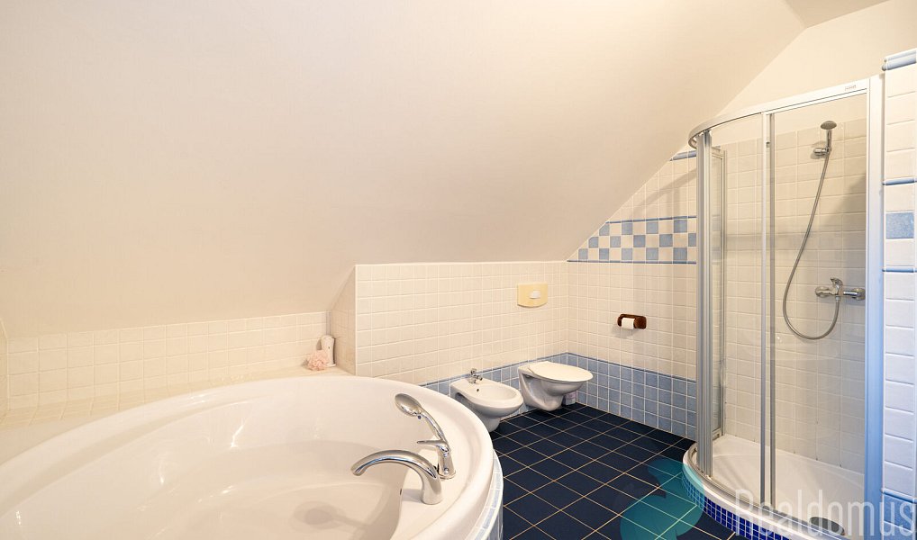 Prodej ubytovacího objektu 267 m², Kestřany – náhled fotky 14
