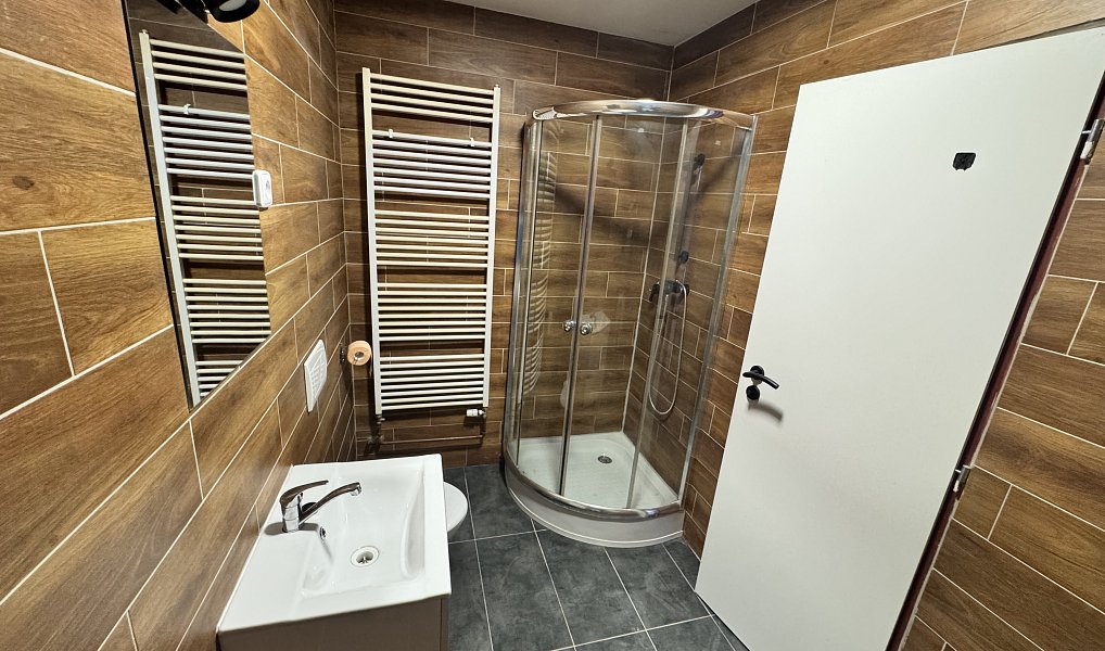 Pronájem bytu 1+1 35 m², Brňany – náhled fotky 8