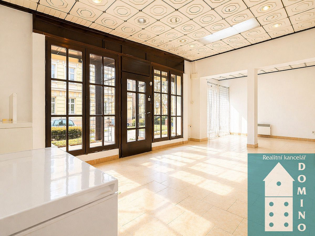 Pronájem obchodních prostor 53 m² – fotografie 5