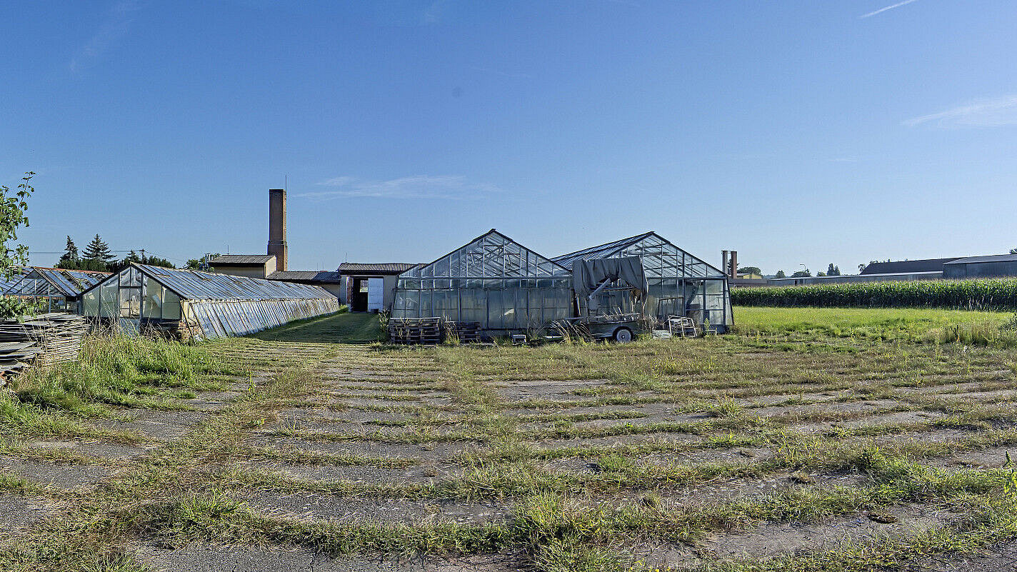 Prodej pole 11 704 m²