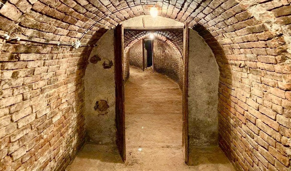 Nový Šaldorf - Sedlešovice, lisovna, 145 m2, pozemek 978 m2 vinný sklep, Nový Šaldorf-Sedlešovice – náhled fotky 5
