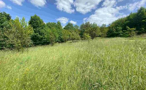 Prodej stavebního pozemku 2 790 m², Nedašova Lhota, okres Zlín