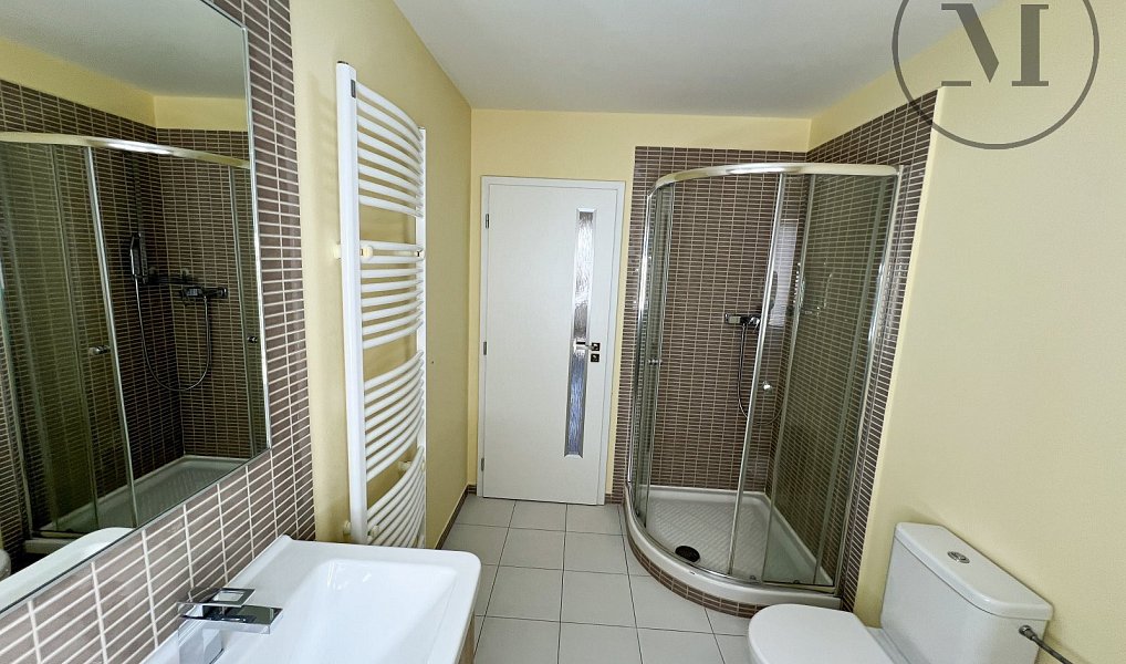 Pronájem bytu 1+1 59 m², České Budějovice – náhled fotky 3