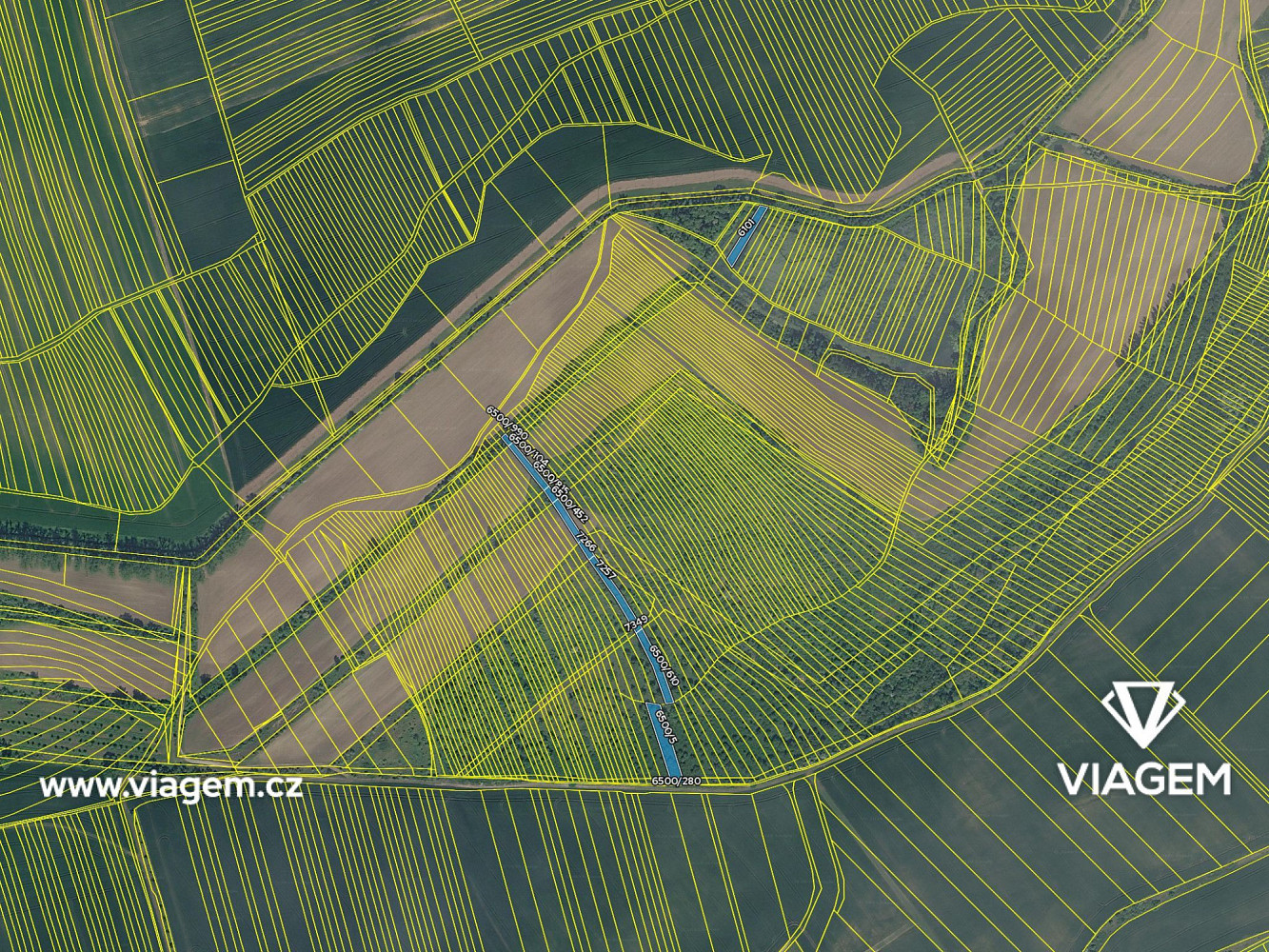Prodej pole 2 100 m² – fotografie 4